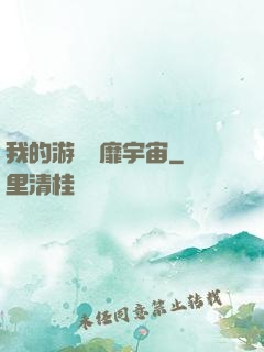 我的游戲風靡宇宙