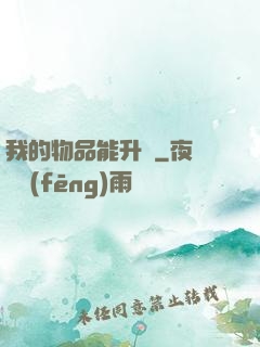 我的物品能升級