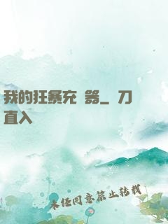 我的狂暴充電器