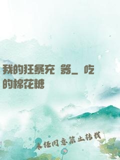 我的狂暴充電器