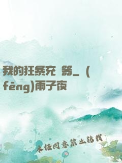 我的狂暴充電器