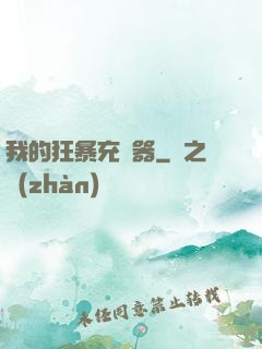 我的狂暴充電器