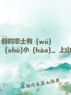 我的率土有無(wú)數(shù)小號(hào)