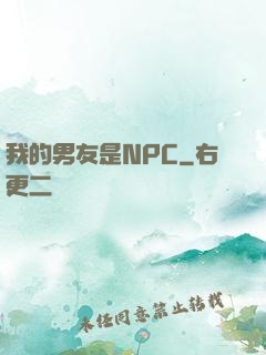 我的男友是NPC