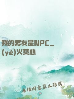 我的男友是NPC