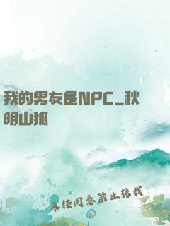 我的男友是NPC