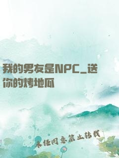 我的男友是NPC