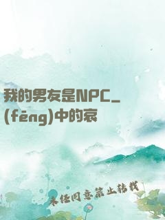我的男友是NPC