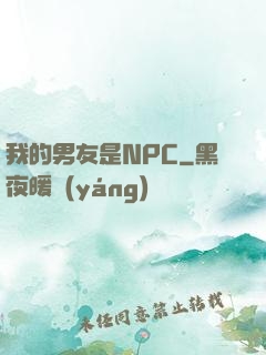 我的男友是NPC