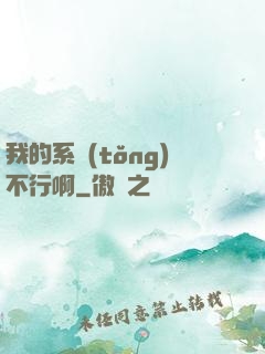 我的系統(tǒng)不行啊