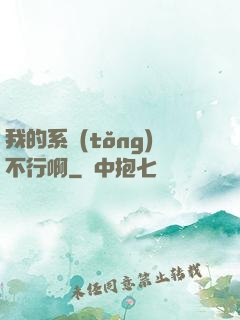 我的系統(tǒng)不行啊
