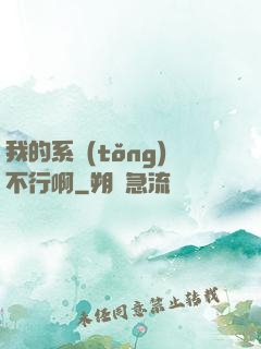 我的系統(tǒng)不行啊