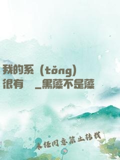 我的系統(tǒng)很有問題