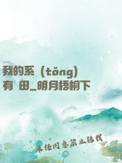 我的系統(tǒng)有塊田
