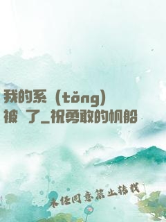 我的系統(tǒng)被搶了