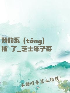 我的系統(tǒng)被搶了