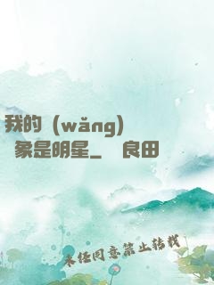 我的網(wǎng)戀對象是明星