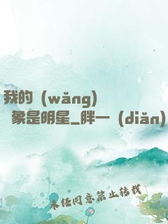 我的網(wǎng)戀對象是明星