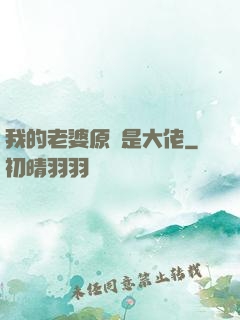 我的老婆原來是大佬