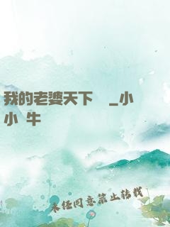 我的老婆天下無敵