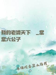 我的老婆天下無敵