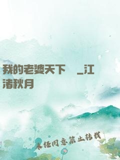 我的老婆天下無敵