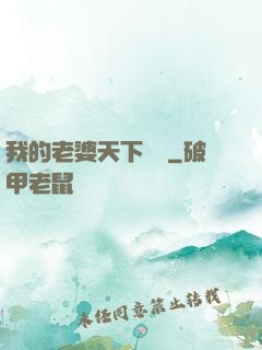 我的老婆天下無敵