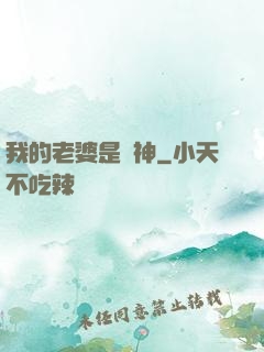 我的老婆是個神