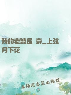 我的老婆是傳奇