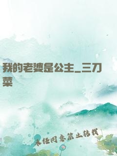 我的老婆是公主