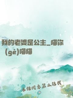 我的老婆是公主