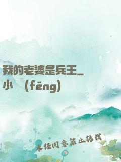 我的老婆是兵王