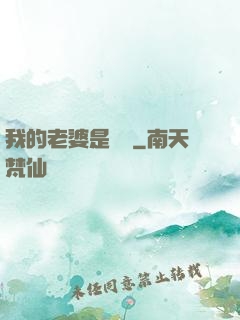 我的老婆是劍靈