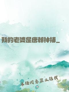 我的老婆是唐朝神捕