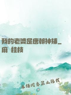 我的老婆是唐朝神捕