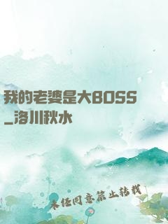 我的老婆是大BOSS