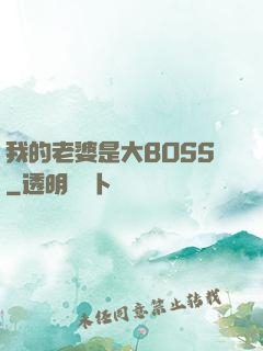 我的老婆是大BOSS