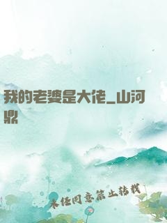 我的老婆是大佬