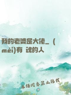 我的老婆是大佬