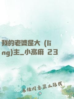 我的老婆是大領(lǐng)主