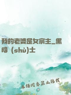 我的老婆是女宗主