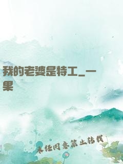 我的老婆是特工