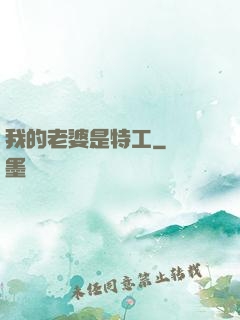 我的老婆是特工
