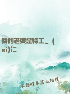 我的老婆是特工