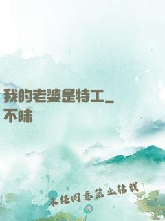 我的老婆是特工
