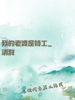 我的老婆是特工