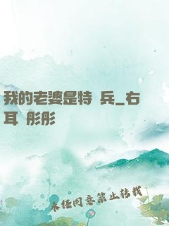 我的老婆是特種兵