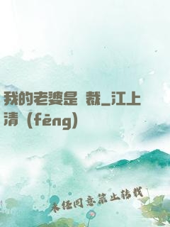 我的老婆是總裁