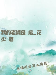 我的老婆是臥底