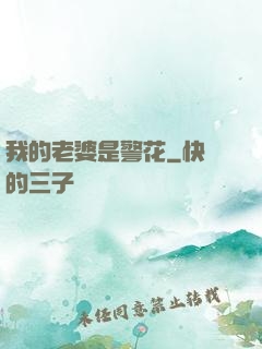 我的老婆是警花